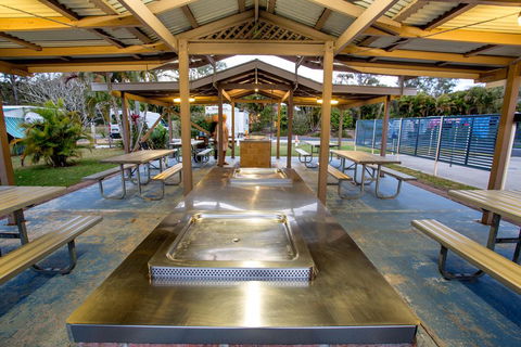 Reflections Holiday Parks Ferry Reserve - Grafton Accommodation 1