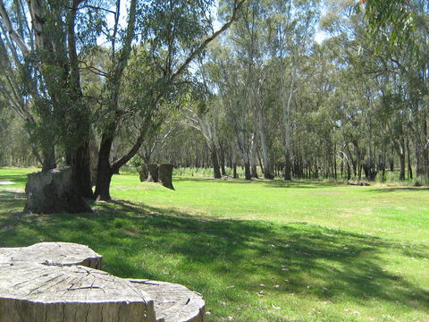 Rivergum Holiday Park - Grafton Accommodation 2