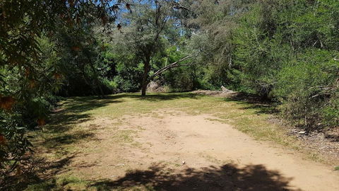 Riverview Caravan Park - Grafton Accommodation 3