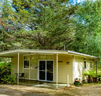 Russell Falls Holiday Cottages - Grafton Accommodation