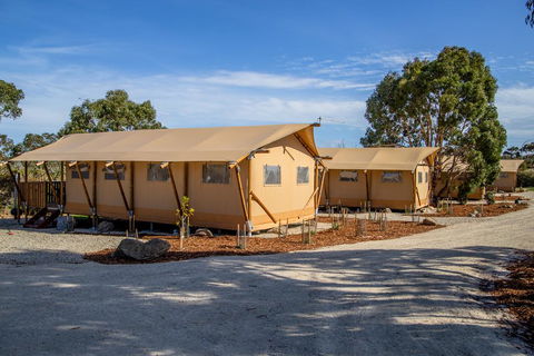 Scamander Sanctuary Holiday Park - Grafton Accommodation 1