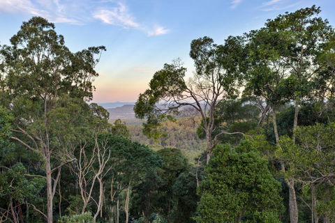 Serenity At Ravensbourne Escape - Grafton Accommodation 1