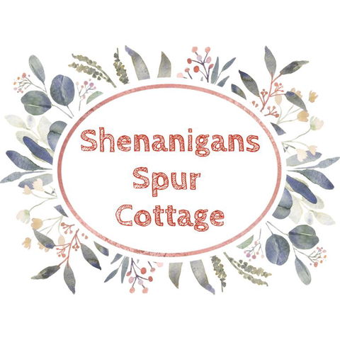 Shenanigans Spur Cottage - Grafton Accommodation 3