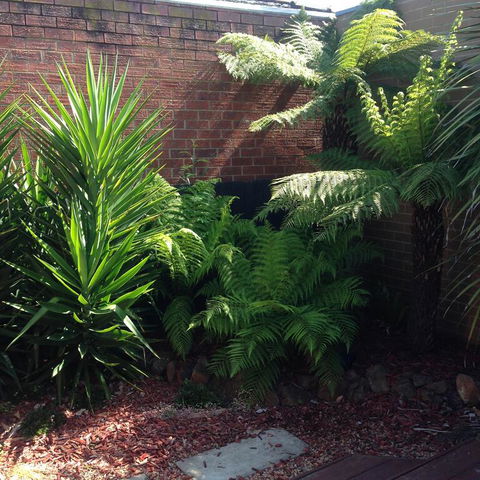 Short Stays Gippsland Trafalgar - Grafton Accommodation 3