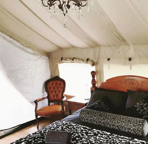 Silk Pavilions Glamping - Grafton Accommodation 1