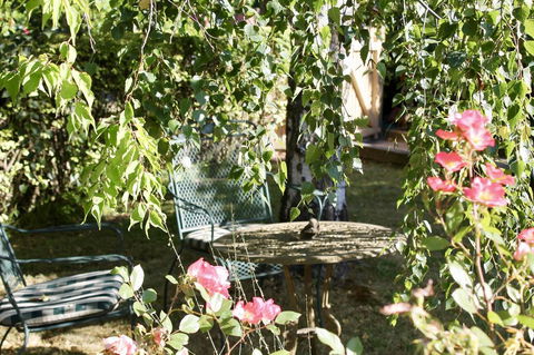 Silver Birch B&B - Grafton Accommodation 3