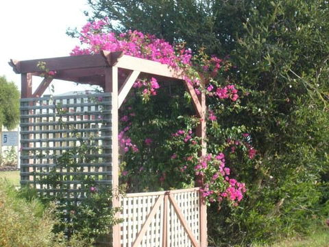 Southern Vales Bed & Breakfast - Grafton Accommodation 3