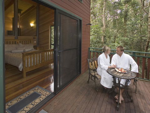 Springbrook Lyrebird Retreat - Grafton Accommodation 3