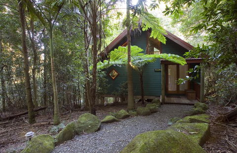 Springbrook Lyrebird Retreat - Grafton Accommodation 1