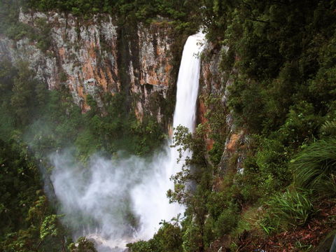 Springbrook Lyrebird Retreat - Grafton Accommodation 2