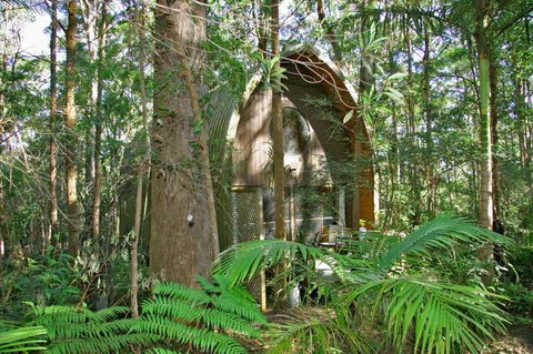 Springbrook Mountain Chalets - Grafton Accommodation 0