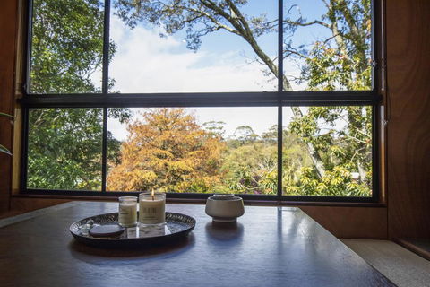 Springbrook25 Upper Apartment - Grafton Accommodation 0