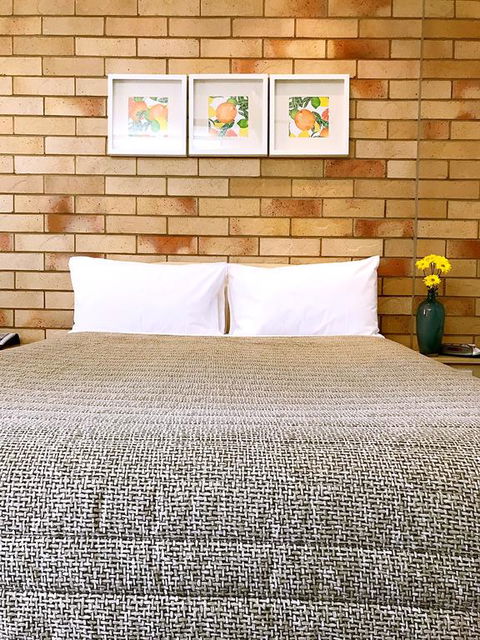 Starlight Motor Inn - Grafton Accommodation 3