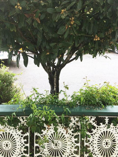 Strahan Wilderness Lodge - Grafton Accommodation 3