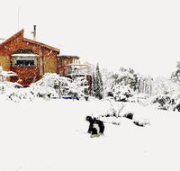 STUNNING HOME WITH AMAZING VIEWS - just 20 mins to the city and only 10 to MONA - Grafton Accommodation