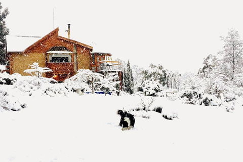STUNNING HOME WITH AMAZING VIEWS - Just 20 Mins To The City And Only 10 To MONA! - Grafton Accommodation 0