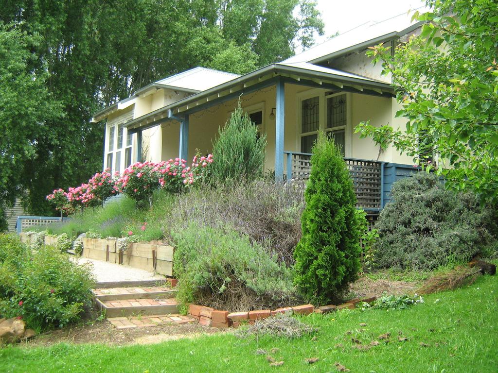 Main Ridge VIC Grafton Accommodation