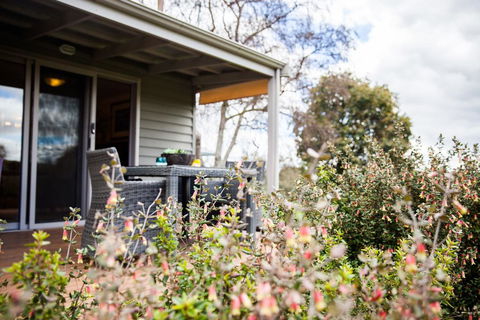 Sunnyside Cottage - Grafton Accommodation 2