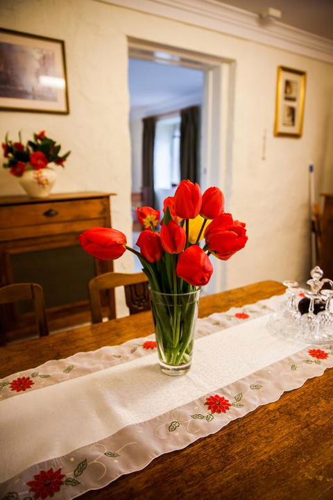 Sunnyside Cottage - Grafton Accommodation 3