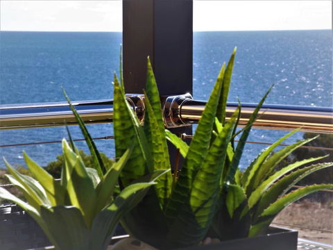 Sunset Cove Beach House - Grafton Accommodation 2