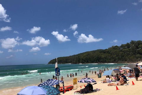 Sunshine Coast Cottage - Grafton Accommodation 3