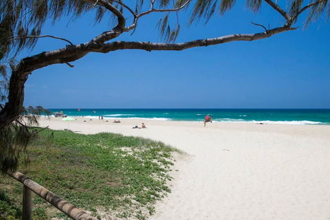 Sunshine Coast Cottage - Grafton Accommodation 0