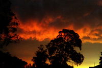 Book Thulimbah Accommodation Vacations Grafton Accommodation Grafton Accommodation