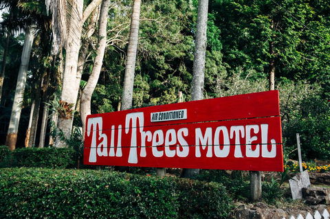 Tall Trees Motel Mountain Retreat - Grafton Accommodation 0