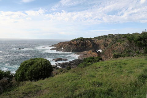 Tathra Hotel & Motel - Grafton Accommodation 1
