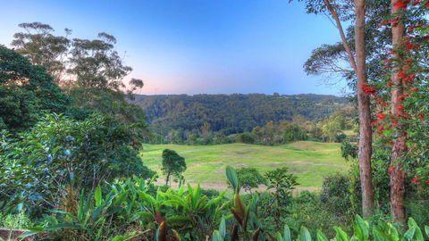 The Avenue At Montville Luxury Cottage - Grafton Accommodation 3