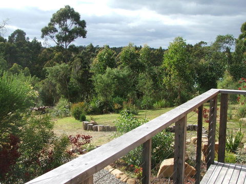Southern Forest Accommodation - Grafton Accommodation 21
