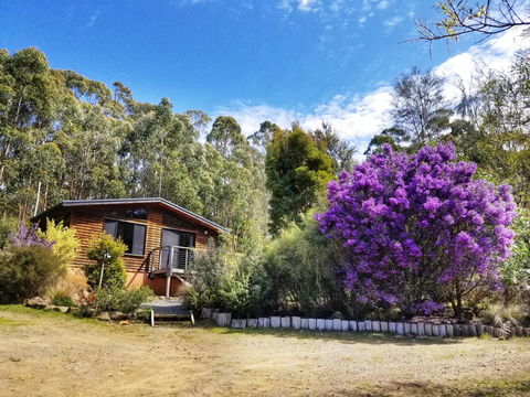 Southern Forest Accommodation - Grafton Accommodation 10