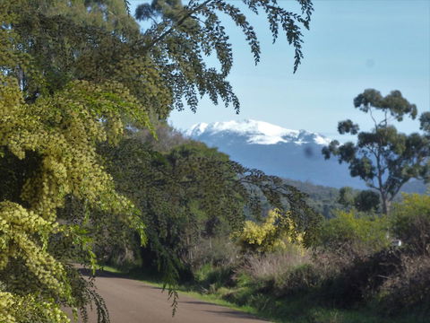 Southern Forest Accommodation - Grafton Accommodation 24