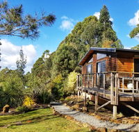 Southern Forest Accommodation - Grafton Accommodation