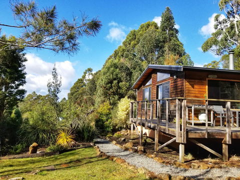Southern Forest Accommodation - Grafton Accommodation 0