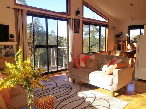 Southern Forest Accommodation - Grafton Accommodation 3