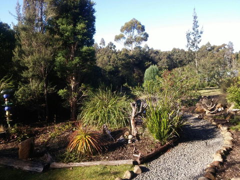 Southern Forest Accommodation - Grafton Accommodation 2
