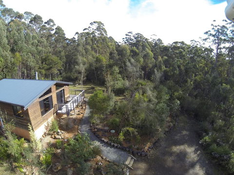 Southern Forest Accommodation - Grafton Accommodation 30
