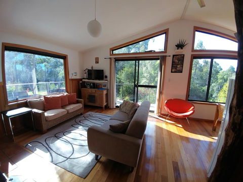 Southern Forest Accommodation - Grafton Accommodation 5