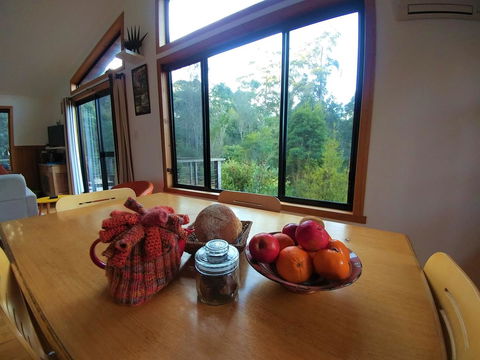 Southern Forest Accommodation - Grafton Accommodation 11
