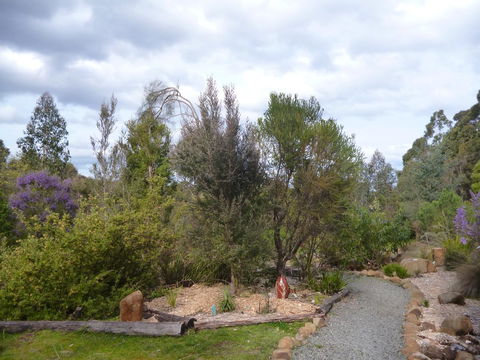 Southern Forest Accommodation - Grafton Accommodation 23