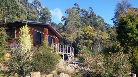 Southern Forest Accommodation - Grafton Accommodation 7
