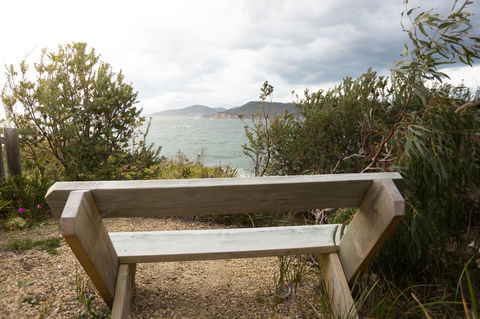 Larus Waterfront Cottage - Grafton Accommodation 17