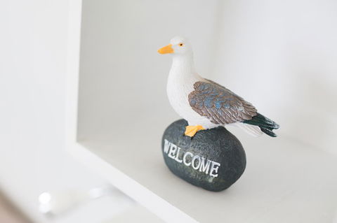 Larus Waterfront Cottage - Grafton Accommodation 22