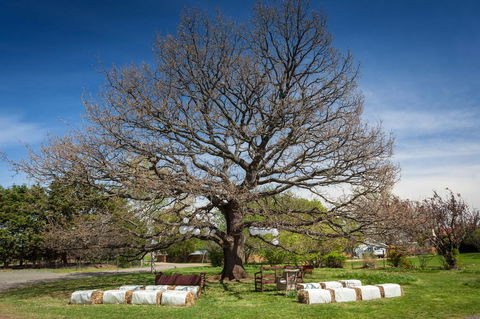 Ratho Farm - Grafton Accommodation 8
