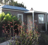 Tramway Cottage - Grafton Accommodation