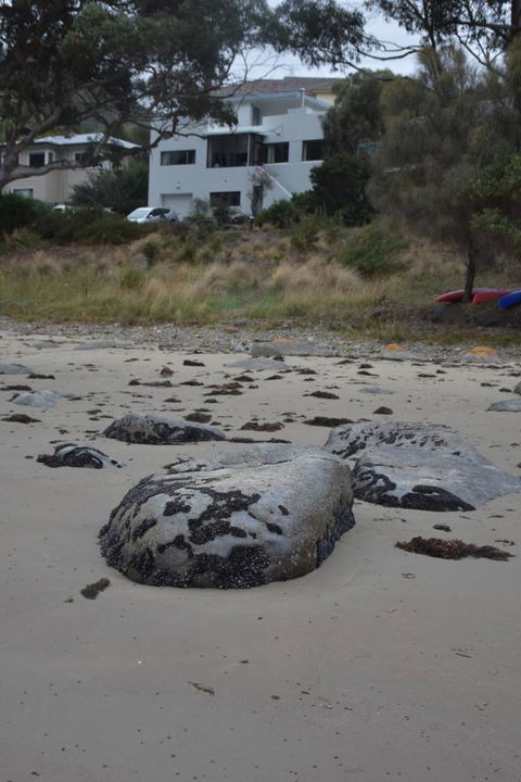 Beachside Taroona With Spa - Grafton Accommodation 21