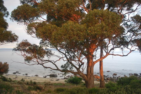 Beachside Taroona With Spa - Grafton Accommodation 18