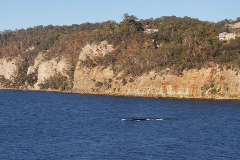 Beachside Taroona With Spa - Grafton Accommodation 29