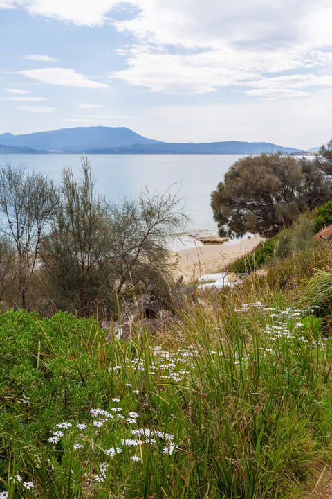 Blessington Beach Retreat - Grafton Accommodation 37
